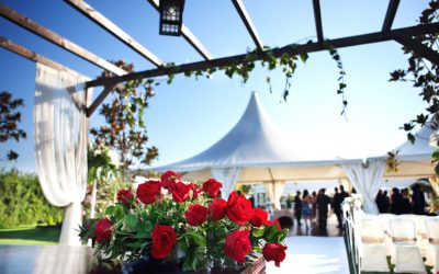 Cómo las carpas plegables pueden facilitar tu vida