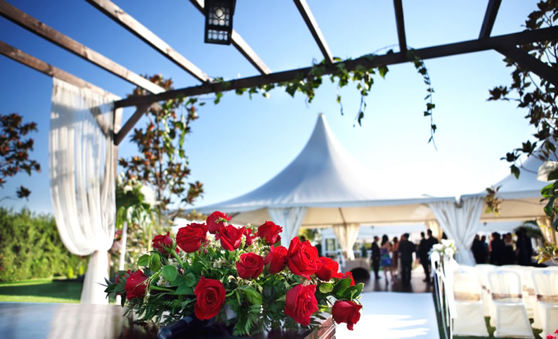 Cómo las carpas plegables pueden facilitar tu vida