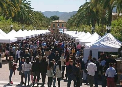 Venta y Alquiler de Carpas